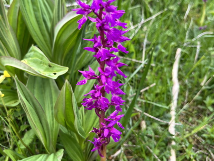 23-05-21 10-44-06 5510